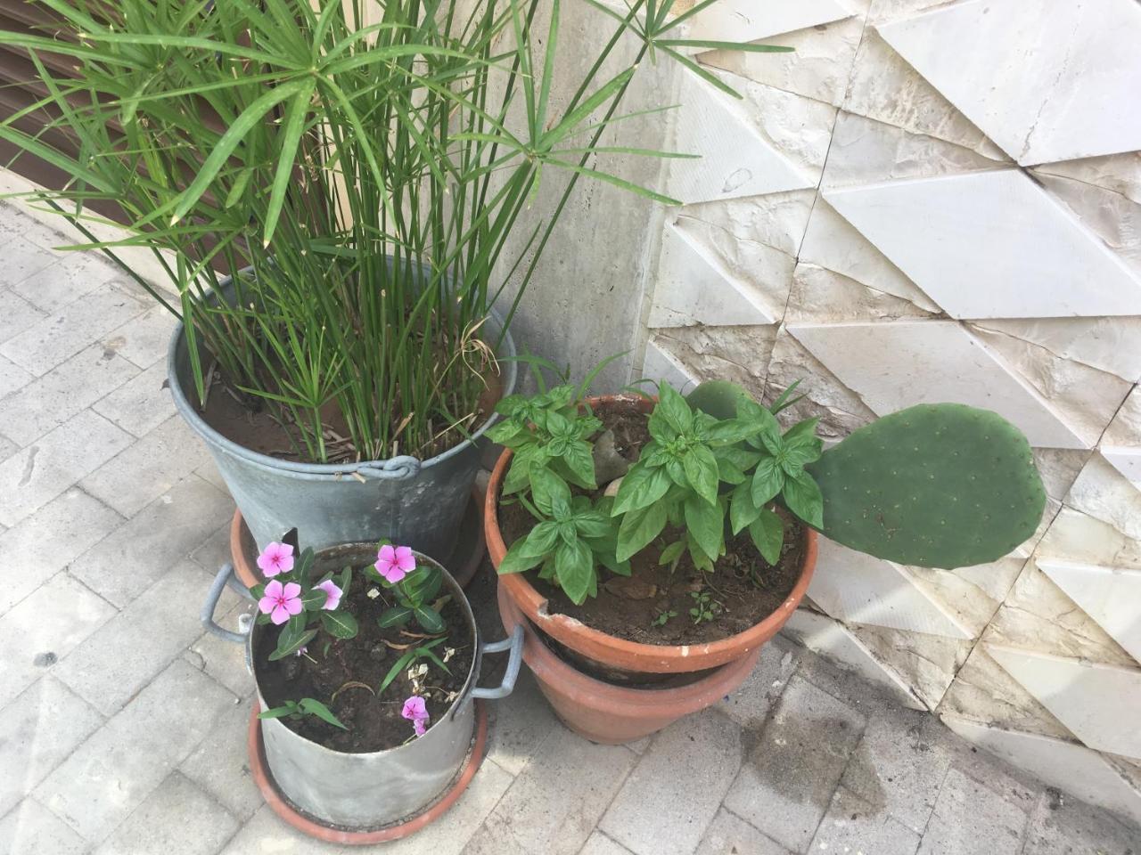 מרינה די רגוזה Casa Vacanze Le Rose מראה חיצוני תמונה